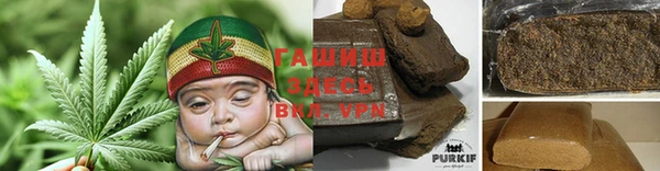 молекула духа Бородино