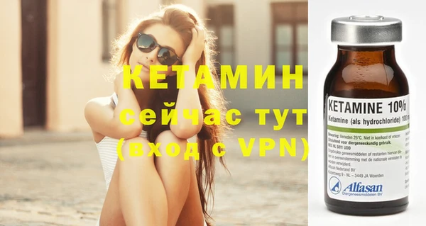 индика Бронницы