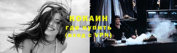 каннабис Богданович
