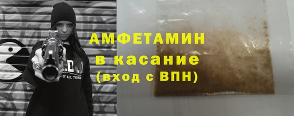 индика Бронницы