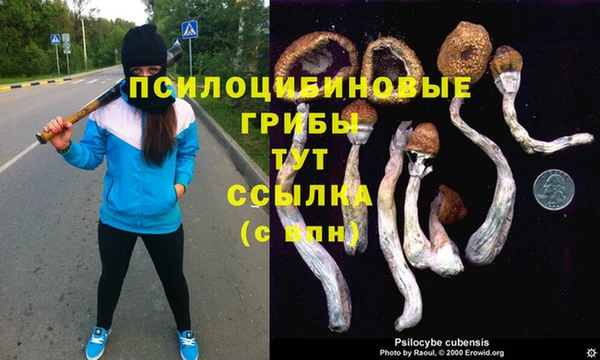 не бодяженный Богородск