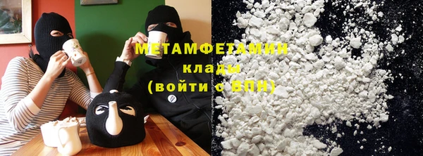 индика Бронницы