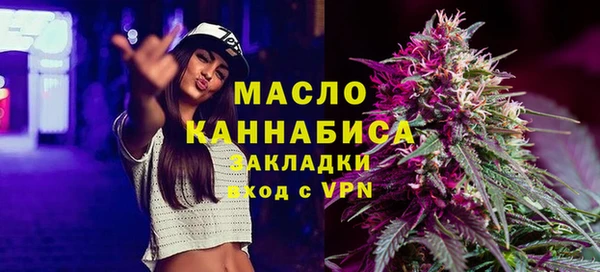 индика Бронницы
