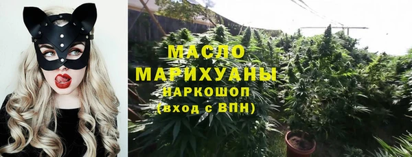 индика Бронницы