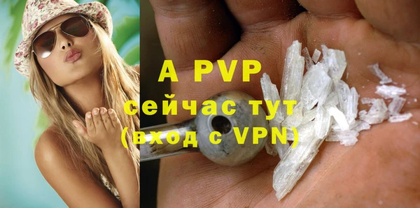 молекула духа Бородино