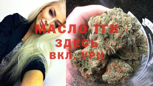 индика Бронницы
