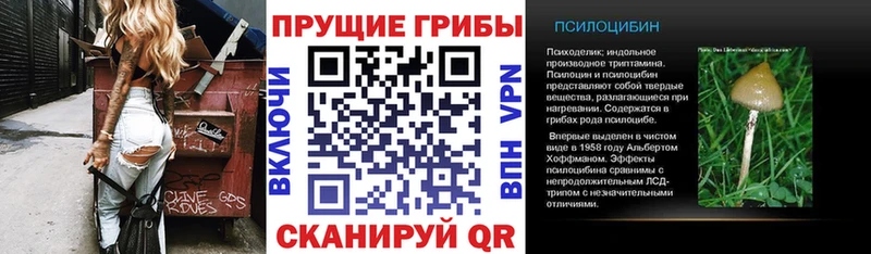 Галлюциногенные грибы прущие грибы  Киреевск 